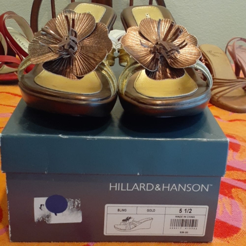 Wedge Floral Sandal sz 5.5